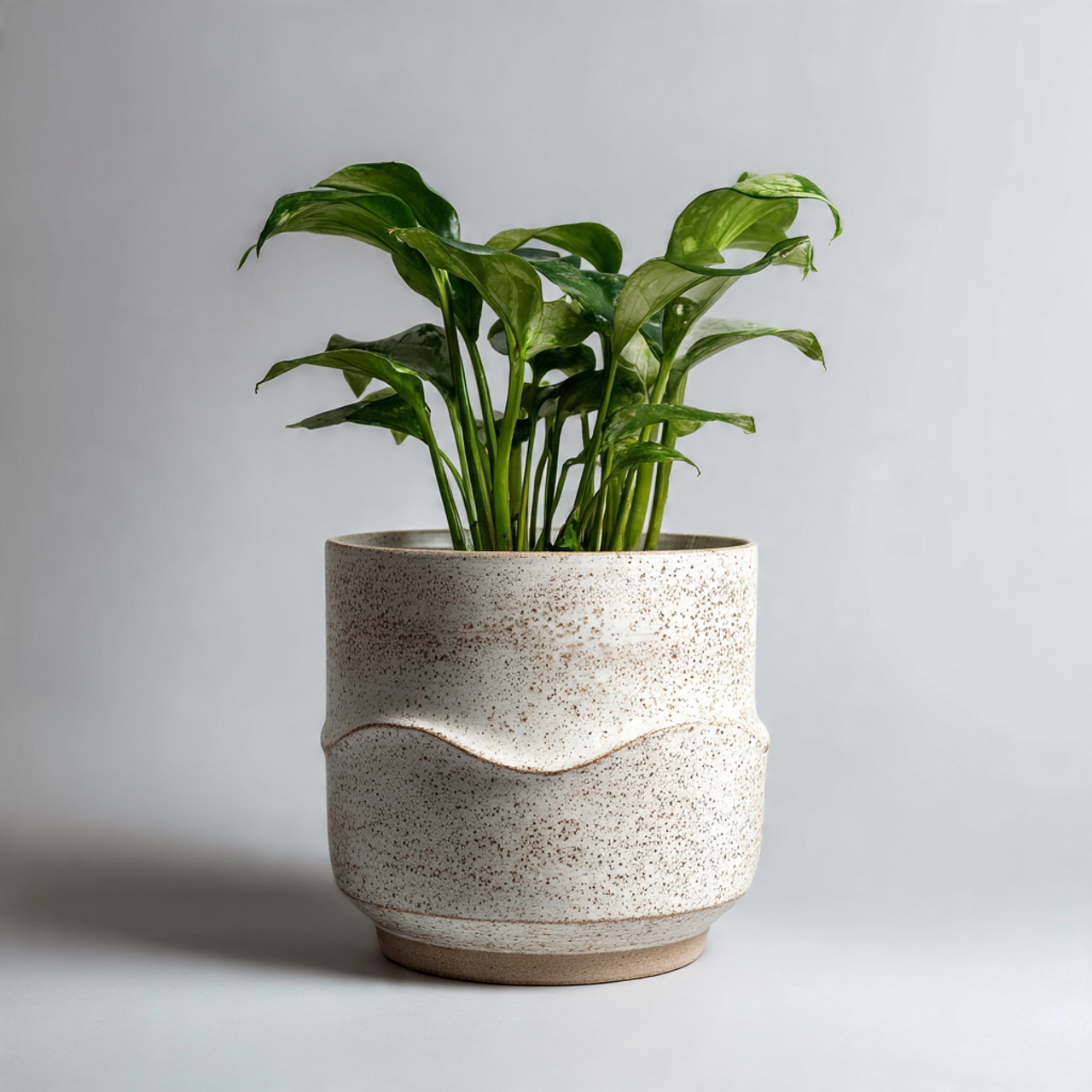 Artful Vases, Pots & Planters (Form, Texture & Balance) – Ravnora Decor