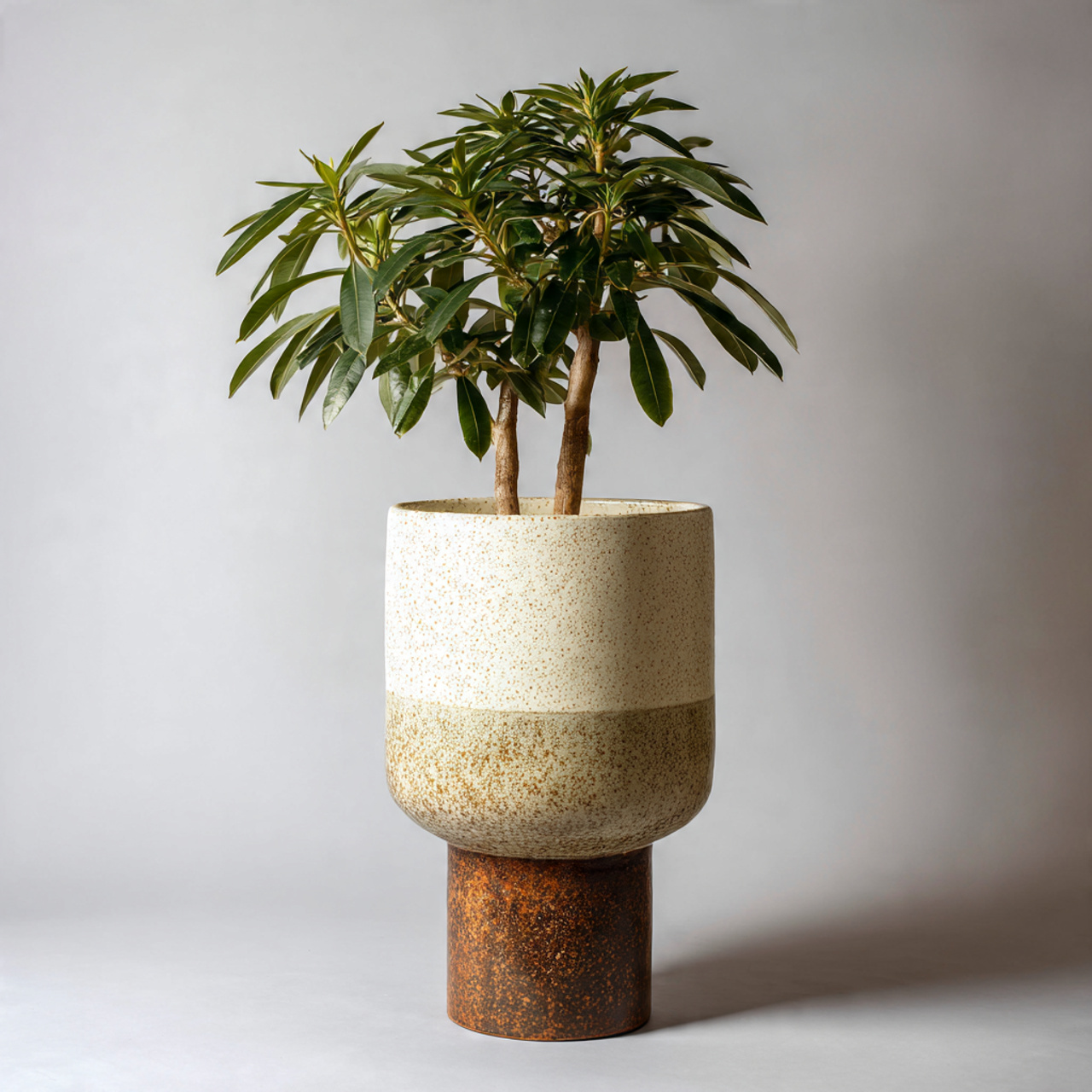 Artful Vases, Pots & Planters (Form, Texture & Balance) – Ravnora Decor